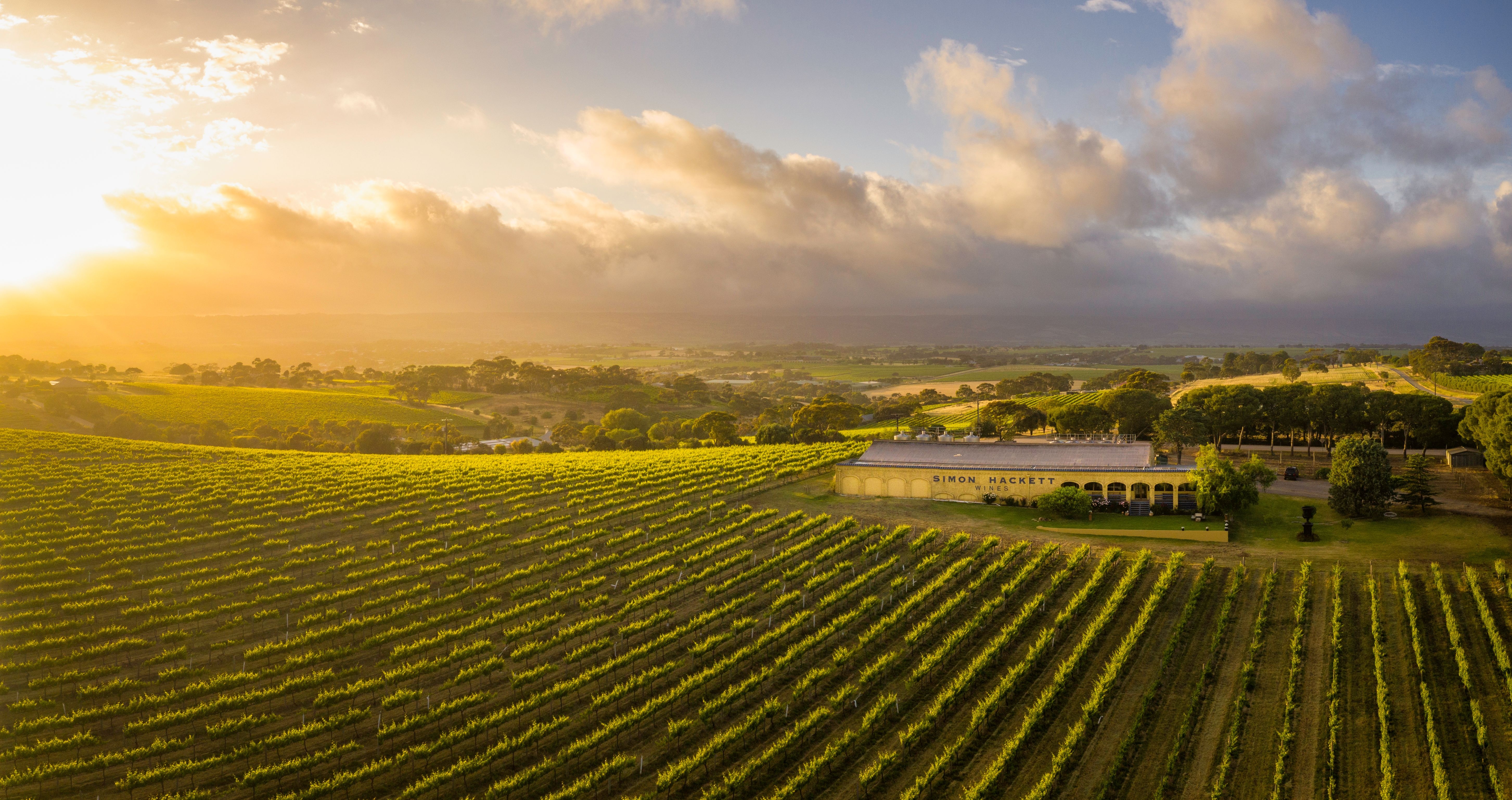Winery sunset
